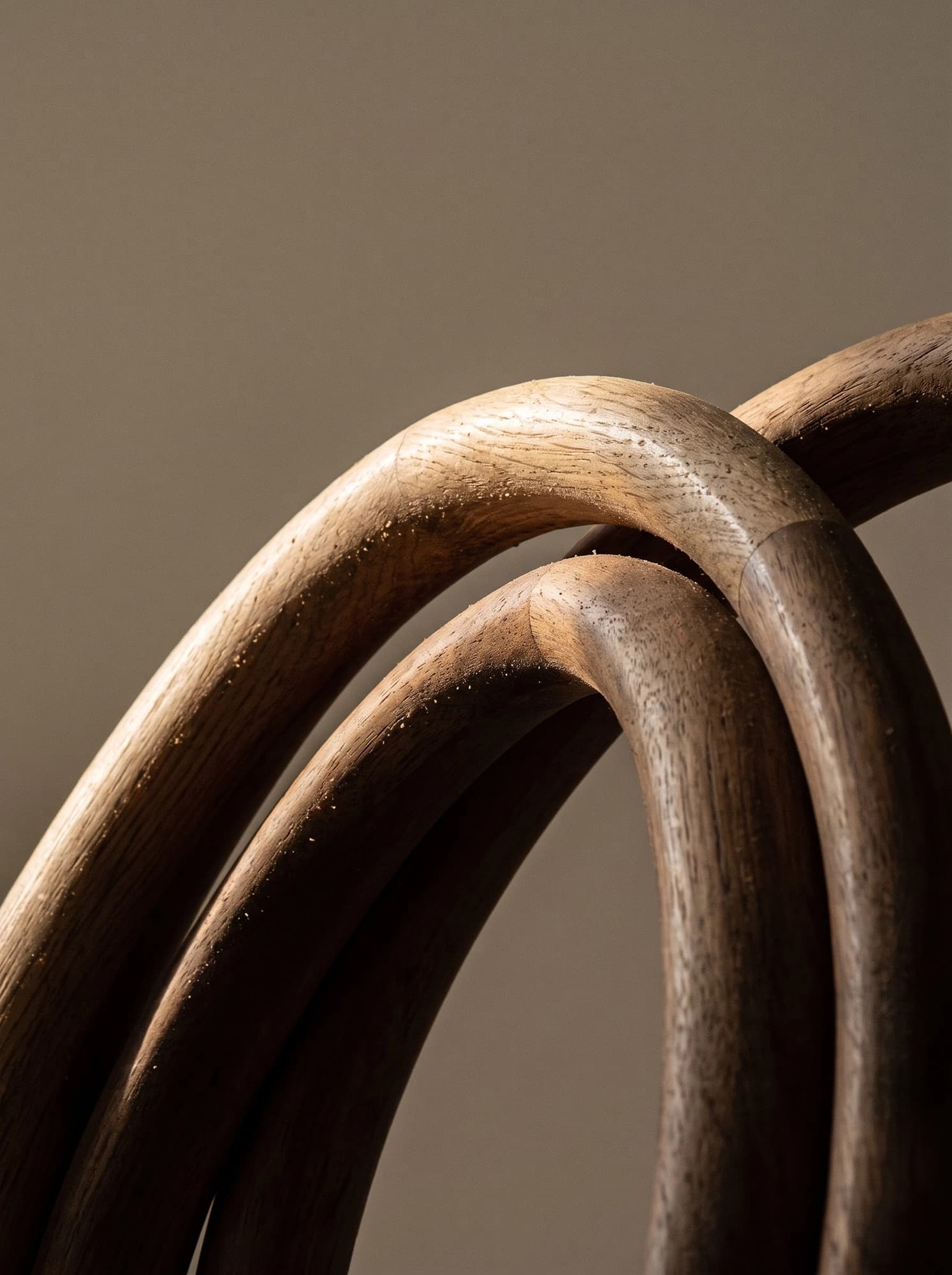 Circular Bent Wood 2