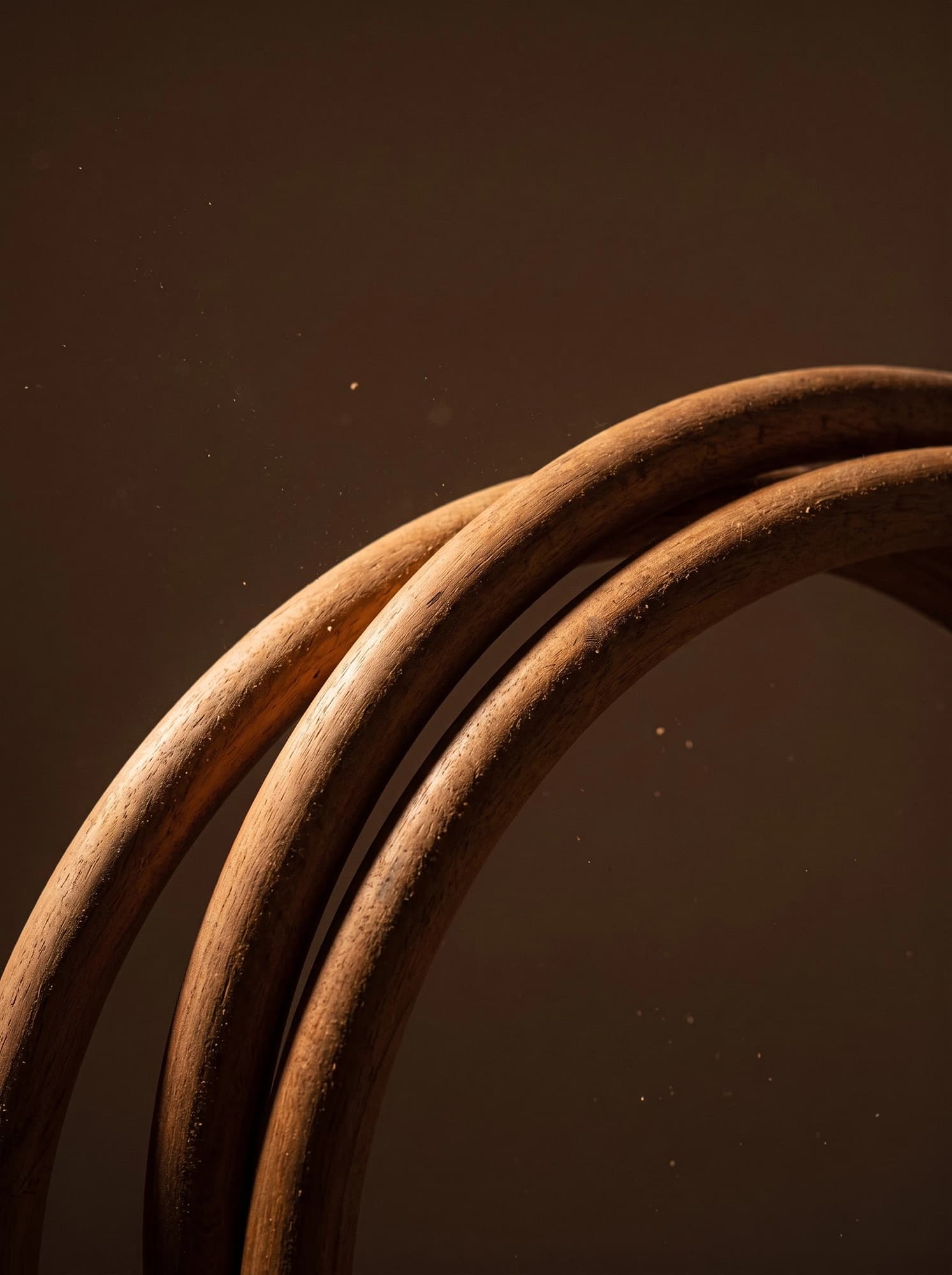 Circular Bent Wood 3