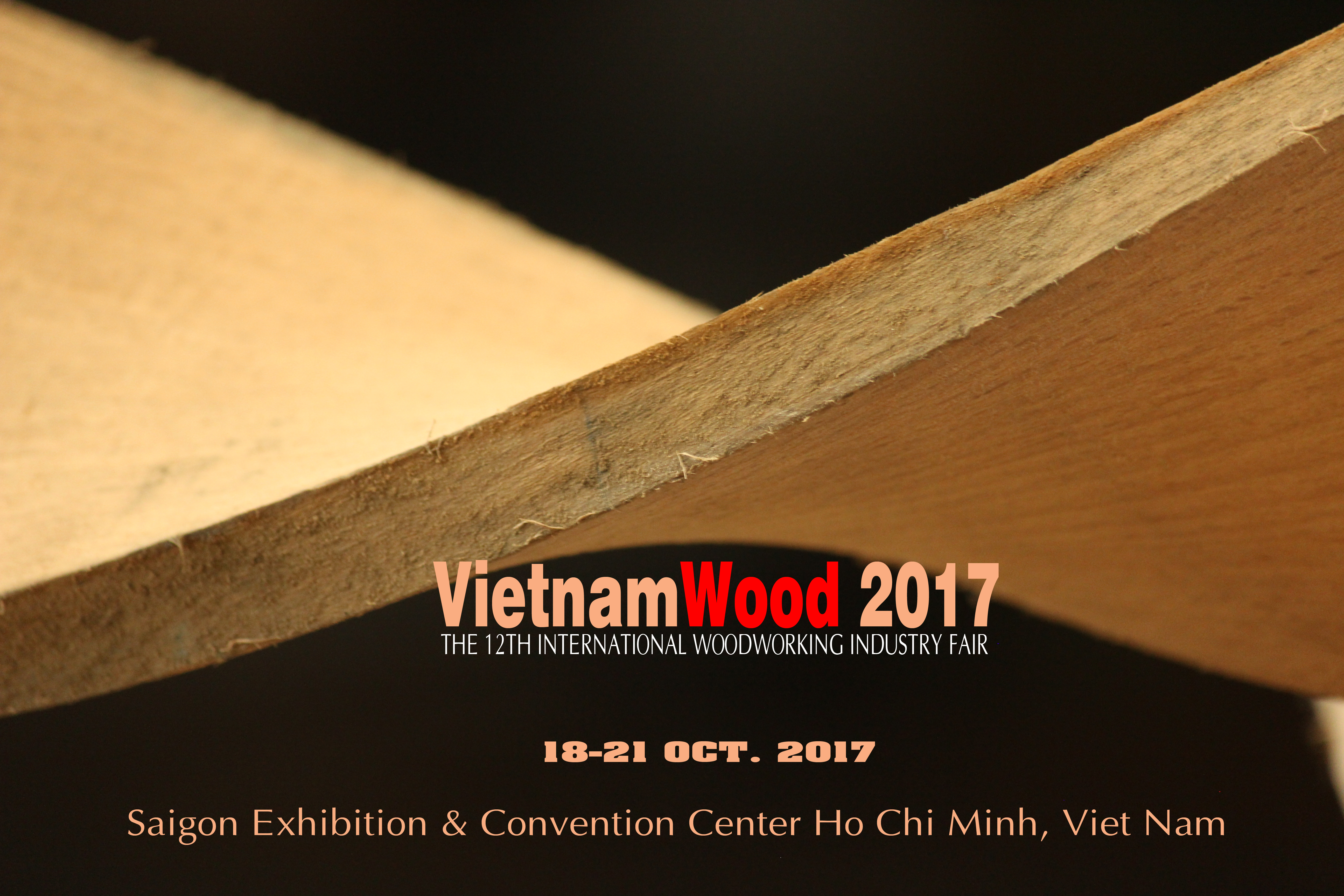 VietnamWood 2017